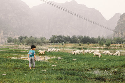 Boy standing in field