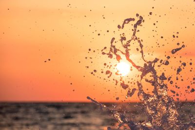 Close-up of birds on beach against sky during sunset