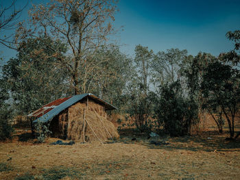 Plants growing on field against sky