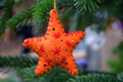 Close-up of handmade christmas decoration