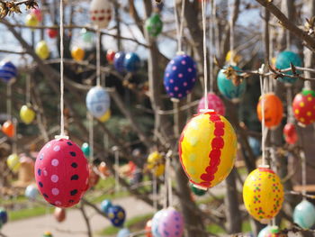 Close-up of easter eggs hanging from tree