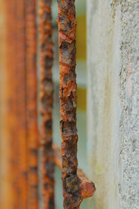 Close-up of weathered security bar