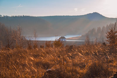 Scenic view of field against sky during sunset