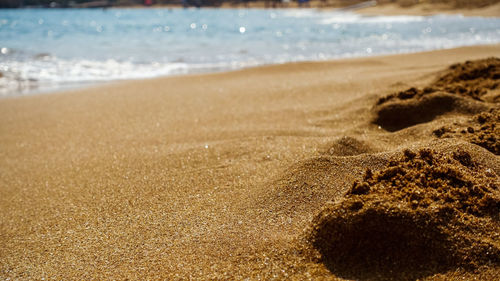 Scenic view of beach