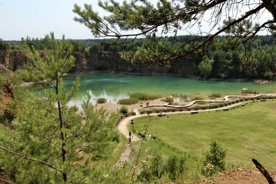 Scenic view of lake in forest against sky