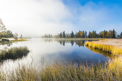 Still and misty lake, sweden