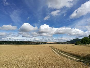 Scenic view of field against sky