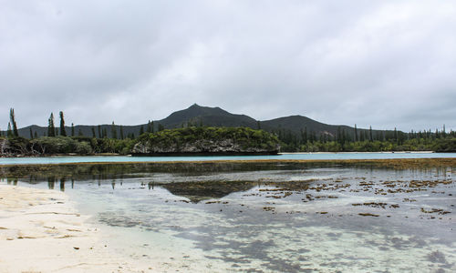 Scenic view of beach against sky