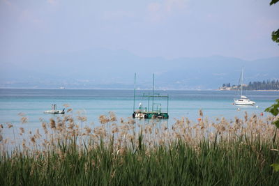 water