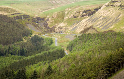 High angle view of river amidst trees