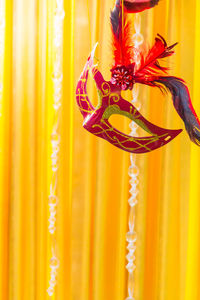 Close-up of decoration hanging against yellow wall