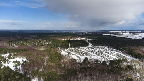 Snow covered woodlands in rural suffolk, uk