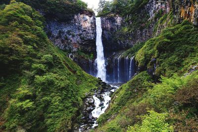 Scenic view of waterfall in forest