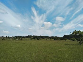 Scenic view of field against sky