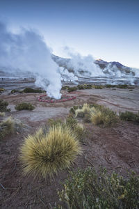 Environment geysers of "el tatio" at sunrise