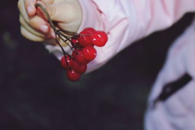 Close-up of hand holding red berries