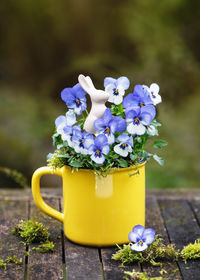 Close-up of potted plant on table