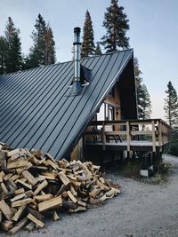 Stack of logs in forest