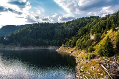 Scenic view of river by trees in forest against sky