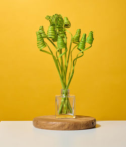 Glass transparent vase with green dried flowers on a white table, yellow background