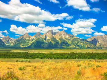 Scenic view of field against sky