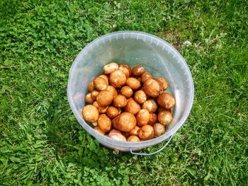 High angle view of breakfast on field