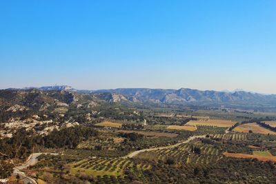 Scenic view of agricultural field against clear sky