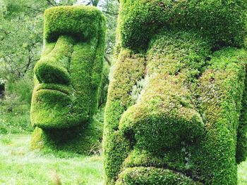 Close-up of statue against tree trunk