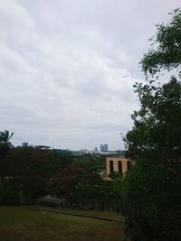 Trees and buildings against sky