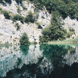 Reflection of trees in lake