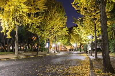 Trees in city against sky