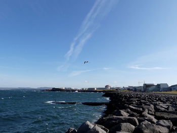 Seagull flying over sea against sky