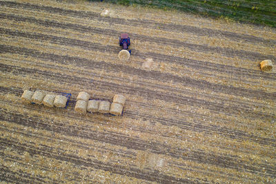 High angle view of agricultural field