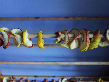 Close-up of fruits on barbecue grill