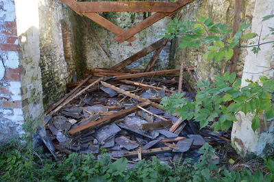 Old wooden door