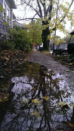 Reflection of buildings in water