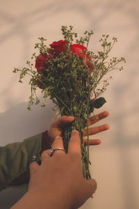 Close-up of hand holding plant against white wall