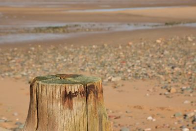 Weathered wooden post on sandy beach with blurred background