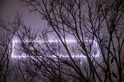 Bare trees against sky at night