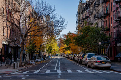 View of city street