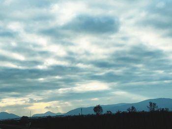 Low angle view of silhouette trees against sky