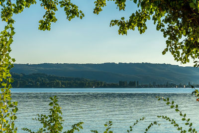 Lake constance panorama radolfzell on lake constance