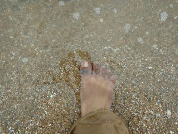 Low section of woman standing on beach