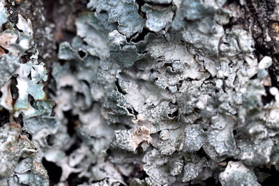 Full frame shot of frozen ice