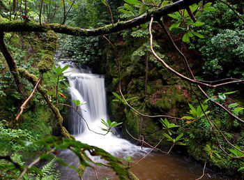 Waterfall at forest