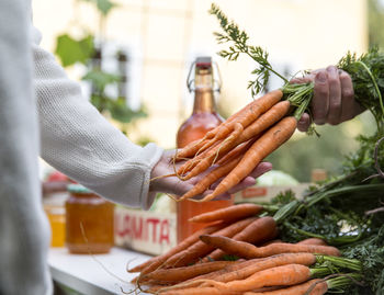 Hands holding carrots