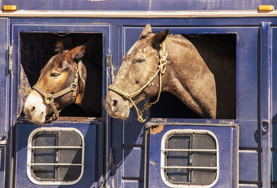 View of horse cart