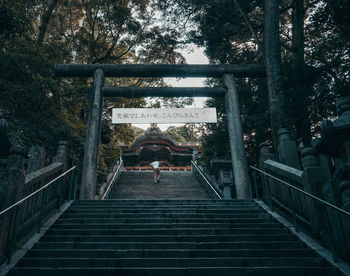 Rear view of man climbing on steps