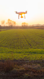 Scenic view of field against sky during sunset