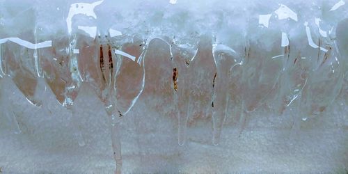 Close-up of frozen ice